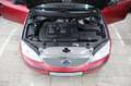 Ford Mondeo Turnier Viva X Rot - thumbnail 30
