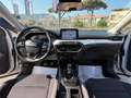 Ford Focus Focus SW 1.5 ecoblue Business s Argento - thumbnail 10