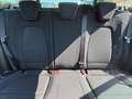 Ford Focus Focus SW 1.5 ecoblue Business s Argento - thumbnail 13