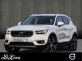 Volvo XC40 B4 AWD Benzin Inscription Aut. Navi*PDC*LED Weiß - thumbnail 1