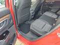 Honda CR-V 1.5 T 2WD Elegance Kırmızı - thumbnail 13