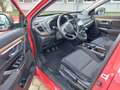Honda CR-V 1.5 T 2WD Elegance Rosso - thumbnail 9