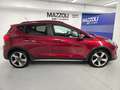 Ford Fiesta Active 1.5 tdci 85cv Rosso - thumbnail 6