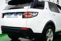 Land Rover Discovery Sport 2.0TD4 Pure 4x4 150 Weiß - thumbnail 9