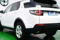 Land Rover Discovery Sport 2.0TD4 Pure 4x4 150 Blanc - thumbnail 13
