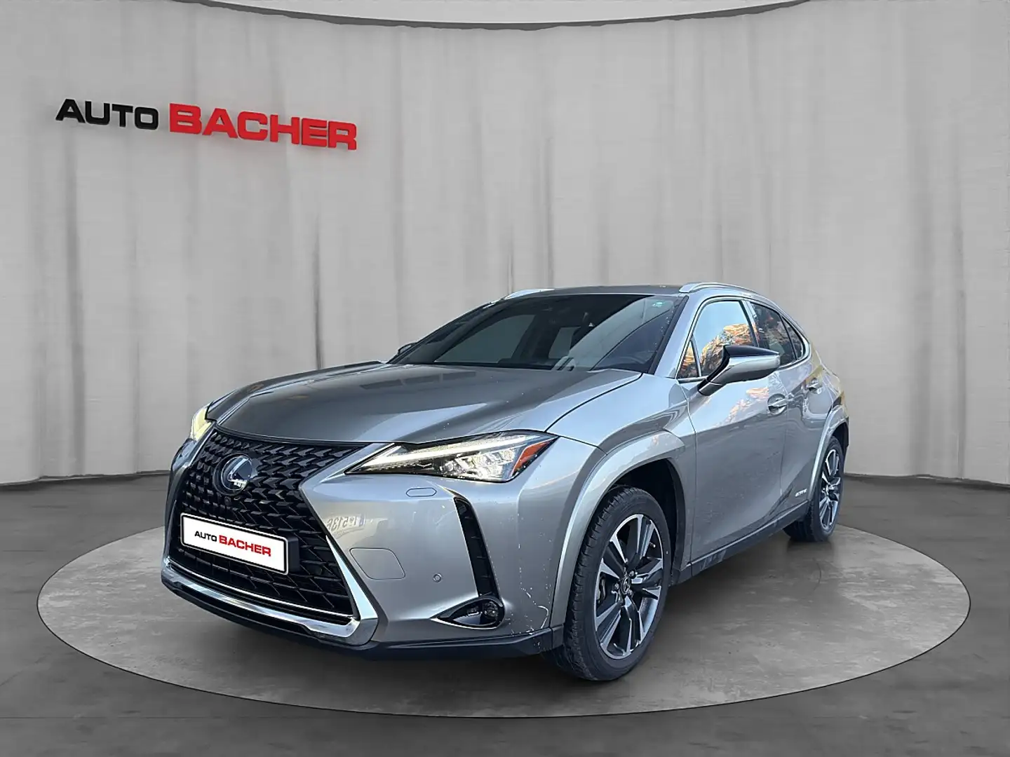 Lexus Sonstige UX 250H E-four Luxury Line Silber - 1