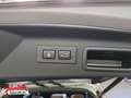 Subaru Forester Forester 2.0ie Mild-Hybrid Platinum Leder PDach Gold - thumbnail 11