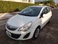 Opel Corsa 1.0 12V 5 porte Edition NEOPATENTATI OCCASIONE Bianco - thumbnail 1