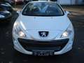 Peugeot 308 Platinum|Windsch. 8x Bereifung|Vollleder Sport Weiß - thumbnail 2
