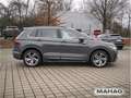 Volkswagen Tiguan 2.0 TSI 4 Mot R-Line AHK IQ.Light IQ.Driv Grau - thumbnail 6
