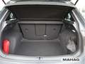 Volkswagen Tiguan 2.0 TSI 4 Mot R-Line AHK IQ.Light IQ.Driv Grau - thumbnail 25