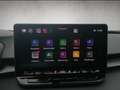 CUPRA Terramar 1.5 eTSI DSG Dynamic Edge Digital Drive Azul - thumbnail 14