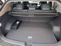 Kia EV3 AWD 81,4kWh Long Range Earth plus Silber - thumbnail 6