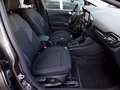 Ford Fiesta Titanium Hybrid LED+ACC+SYNC3+DAB+VSA+MWA+16" Gris - thumbnail 11