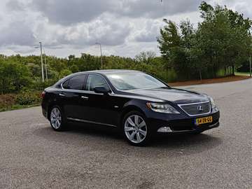 600h Executive