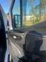 Mercedes-Benz Sprinter 317 CDI Sprinter Standard HA - thumbnail 7