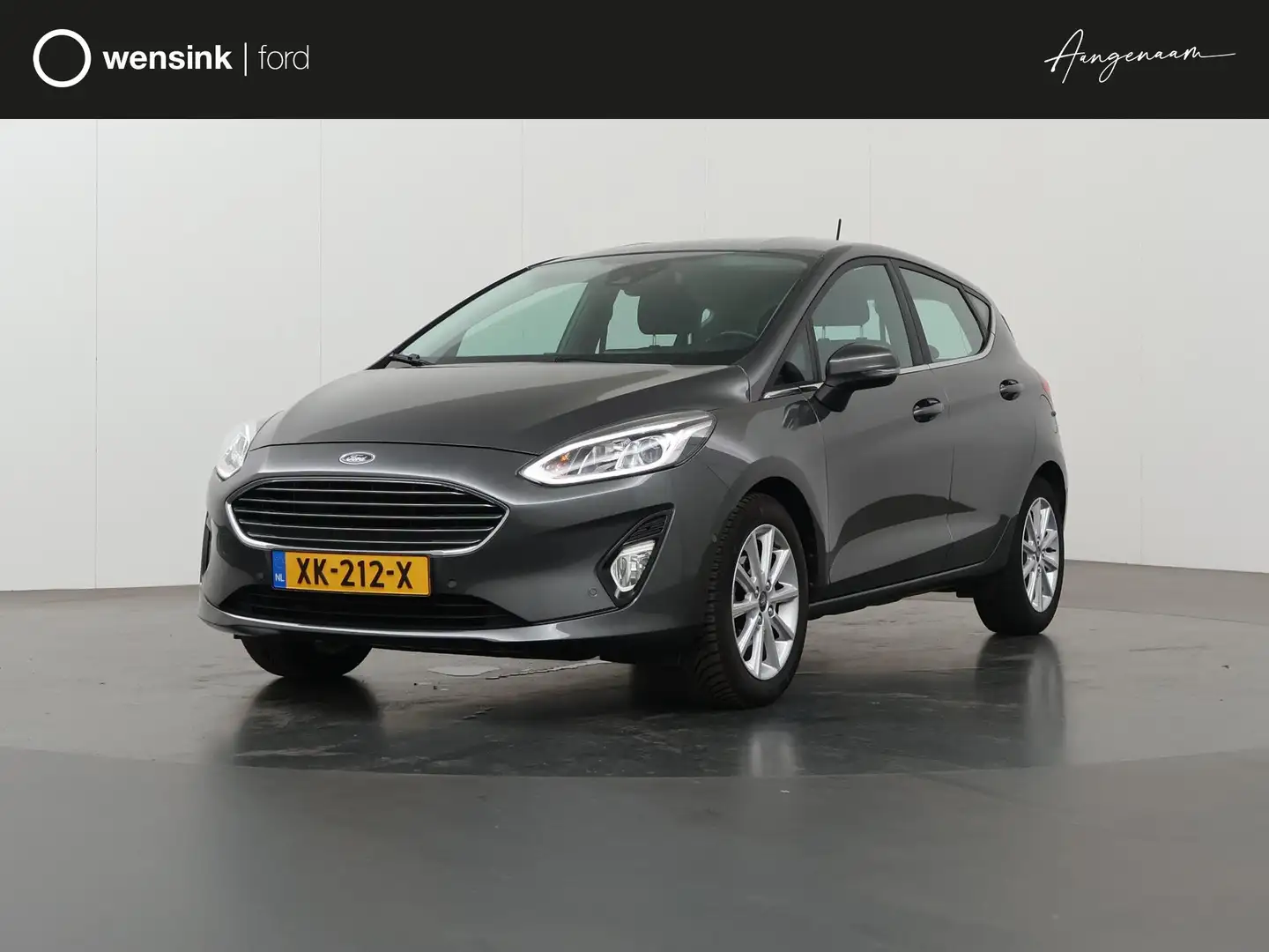 Ford Fiesta 1.0 EcoBoost Titanium | Navigatie | Parkeercamera Gris - 1