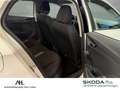 Skoda Fabia 1.0 MPI Active Klima PDC hinten SHZ Weiß - thumbnail 12