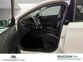 Skoda Fabia 1.0 MPI Active Klima PDC hinten SHZ Weiß - thumbnail 17