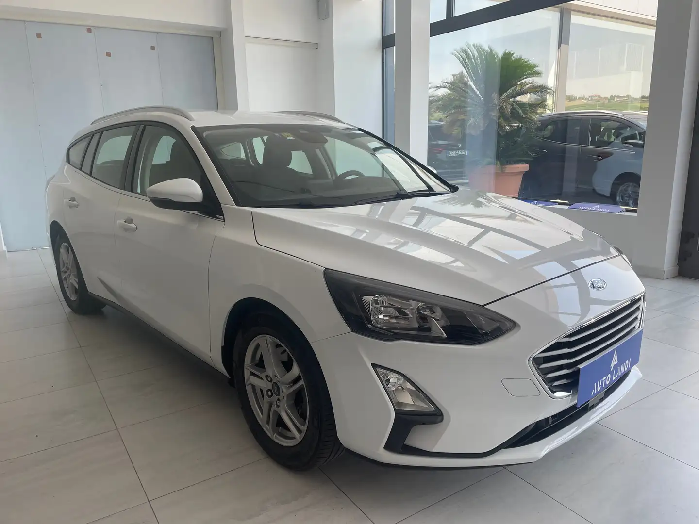 Ford Focus Focus SW 1.5 ecoblue Business s Bianco - 2