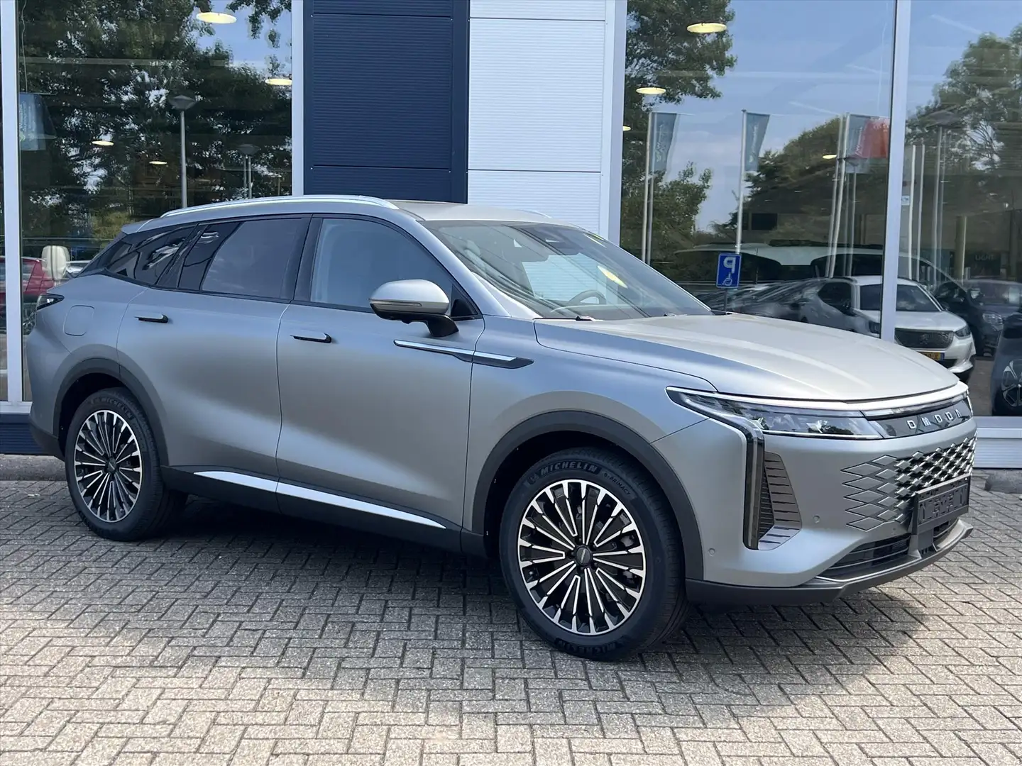 Omoda 9 Premium | Ervaar de kracht van de Omoda 9 - Boek v Grau - 2