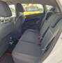 Ford Fiesta Fiesta  5p 1.4 tdci UNICO PROPRIETARIO 138MILA KM Bianco - thumbnail 10