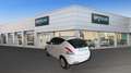 Lancia Ypsilon 5 Porte 1.3 Multijet Gold Bianco - thumbnail 7