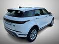 Land Rover Range Rover Evoque Range Rover Evoque 2.0d i4 mhev S awd 150cv auto Weiß - thumbnail 2