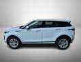 Land Rover Range Rover Evoque Range Rover Evoque 2.0d i4 mhev S awd 150cv auto Weiß - thumbnail 6