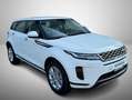 Land Rover Range Rover Evoque Range Rover Evoque 2.0d i4 mhev S awd 150cv auto Weiß - thumbnail 10
