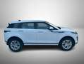 Land Rover Range Rover Evoque Range Rover Evoque 2.0d i4 mhev S awd 150cv auto Weiß - thumbnail 11