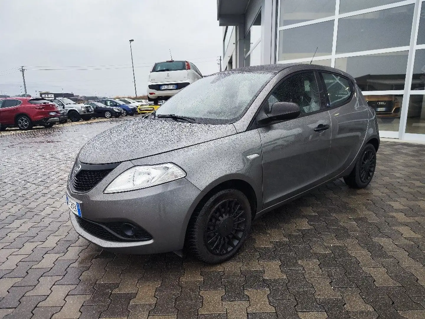 Lancia Ypsilon 1.2 69 CV 5 porte Elefantino Blu Grau - 1