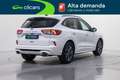 Ford Kuga 2.0 EcoBlue ST-Line FWD 120 Aut. Blanco - thumbnail 5