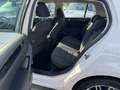 Volkswagen Golf Golf VI Diesel 5-Türer 1.6 TDI DPF Comfortline Bianco - thumbnail 9