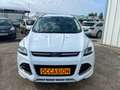 Ford Kuga 2.0 TDCI 136CH TITANIUM PACK SPORT / XENON / DISTRIBUTION NEUVE /PAS ADBLUE Weiß - thumbnail 6