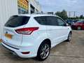 Ford Kuga 2.0 TDCI 136CH TITANIUM PACK SPORT / XENON / DISTRIBUTION NEUVE /PAS ADBLUE Weiß - thumbnail 3