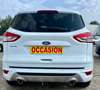 Ford Kuga 2.0 TDCI 136CH TITANIUM PACK SPORT / XENON / DISTRIBUTION NEUVE /PAS ADBLUE Weiß - thumbnail 5