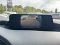 Mazda 3 2.5 140PS AT Homura LED NAVI Kamera Rot - thumbnail 16