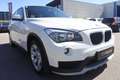 BMW X1 X1 sDrive16d Österreich-Paket Aut. Weiß - thumbnail 4