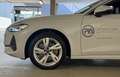 Audi A5 Limousine TFSI Weiß - thumbnail 23