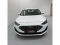 Ford Focus Titanium KLIMA TEMPOMAT NAVI SHZ Weiß - thumbnail 4
