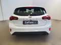 Ford Focus 1.0 EcoBoost Hybrid 125 CV Powershift 5p. ST-Line Bianco - thumbnail 7