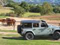 Jeep Wrangler JK Edition Wrangler Unlimited 3.6 JK Edition Aut. Verde - thumbnail 3