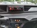 Ligier JS 50 SELECT REVO+ Diesel +Servo LAGER-AKTION *Autofa... Schwarz - thumbnail 12