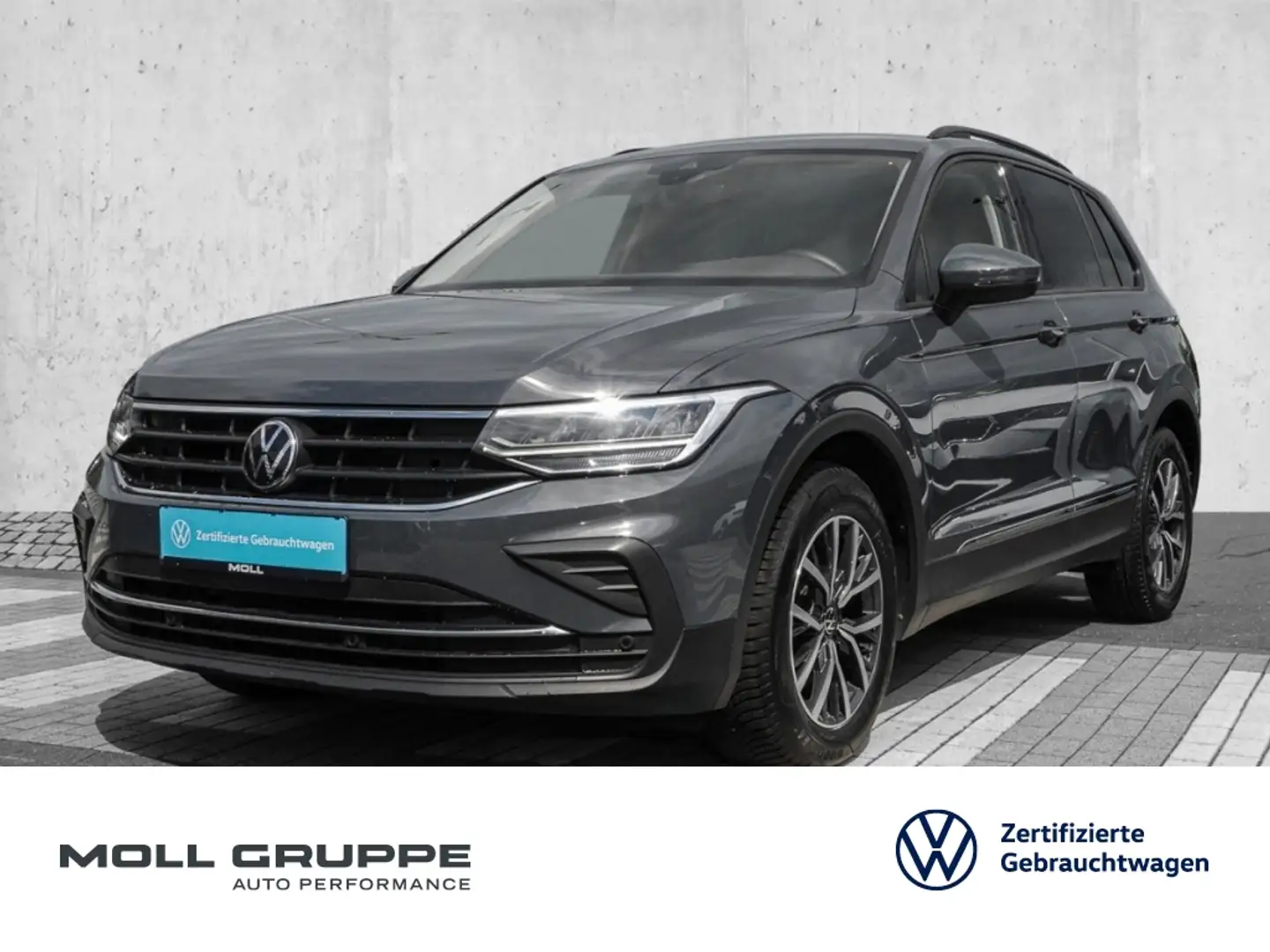 Volkswagen Tiguan 1.5 TSI DSG Life NAVI LM ACC PDC DYNLI Grau - 1