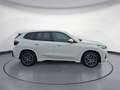BMW iX1 eDrive20 Panorama Head-Up Adaptives Fahrwerk Weiß - thumbnail 7