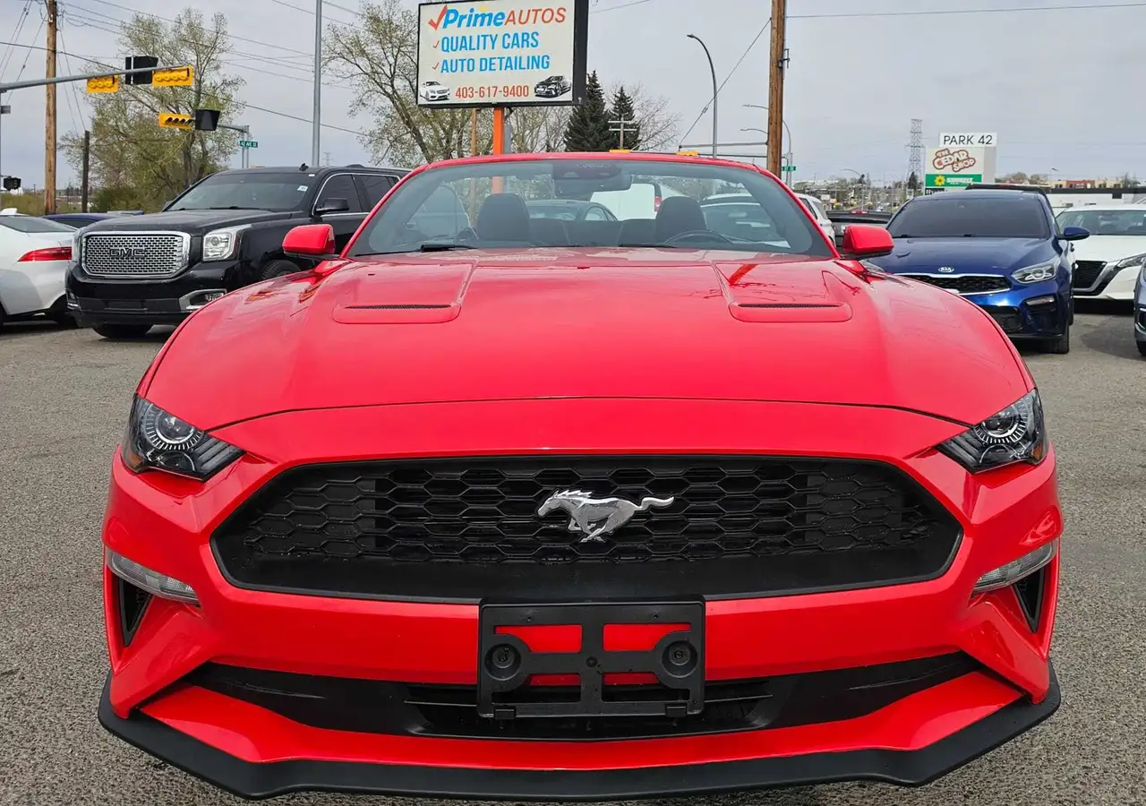 Ford Mustang photo Ford Mustang