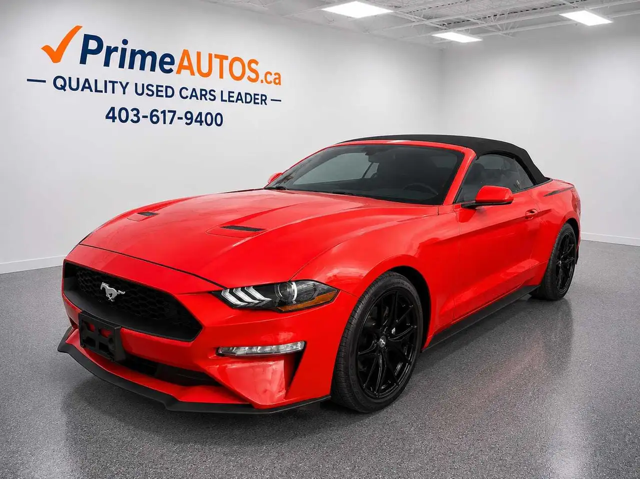 2019 Ford Mustang