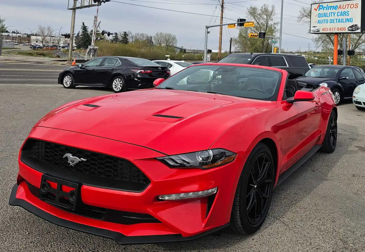 Ford Mustang photo Ford Mustang