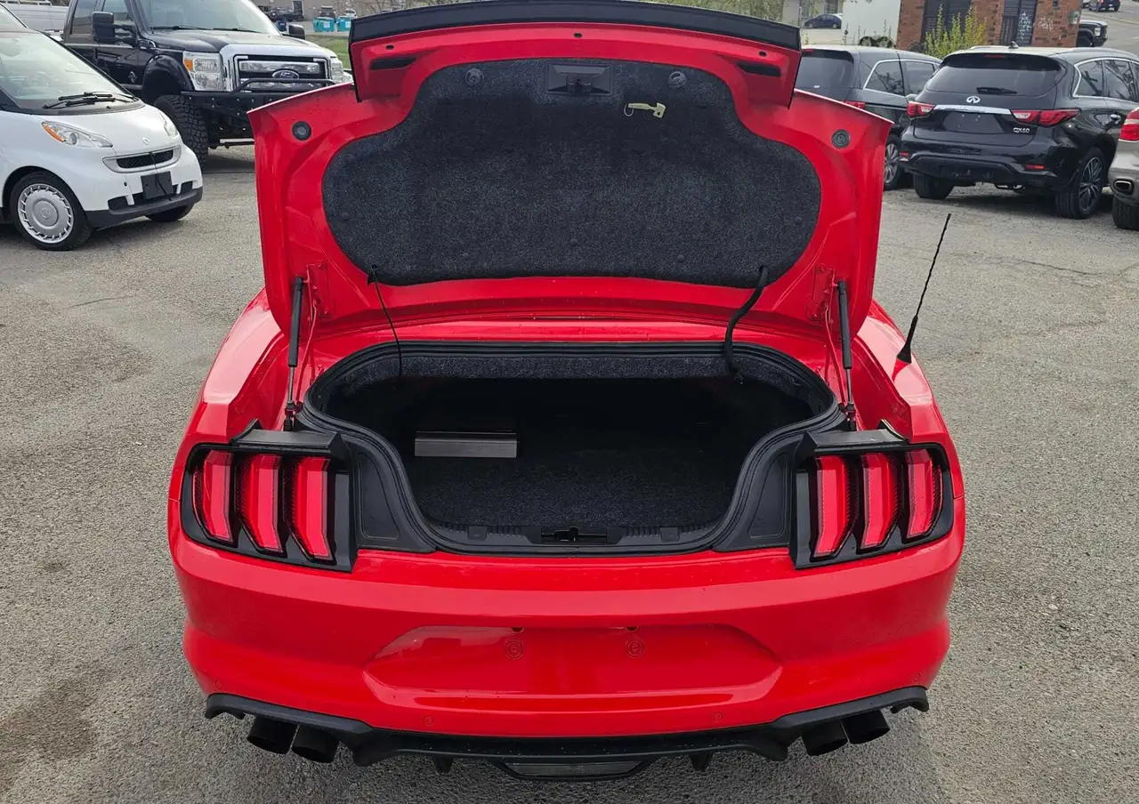 Ford Mustang photo Ford Mustang